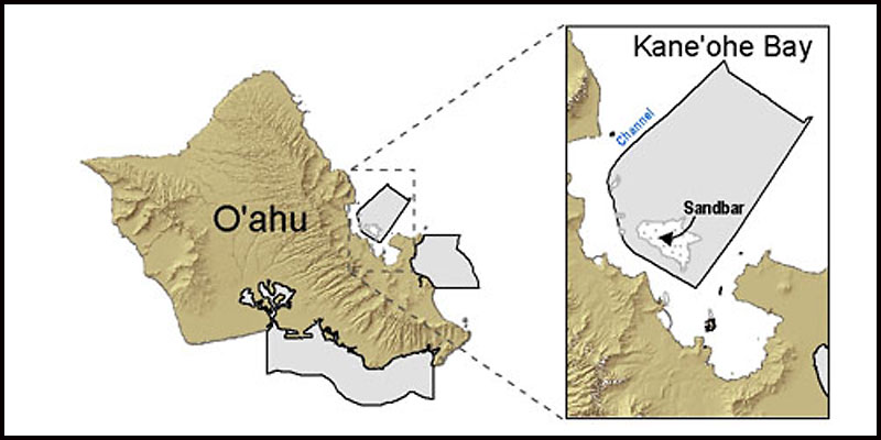 033013_gillnet_map