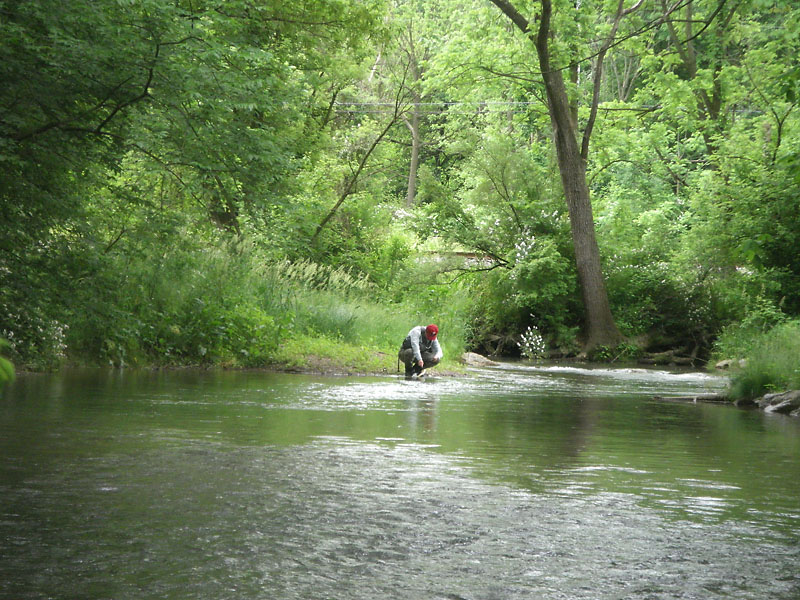 Codorus Creek