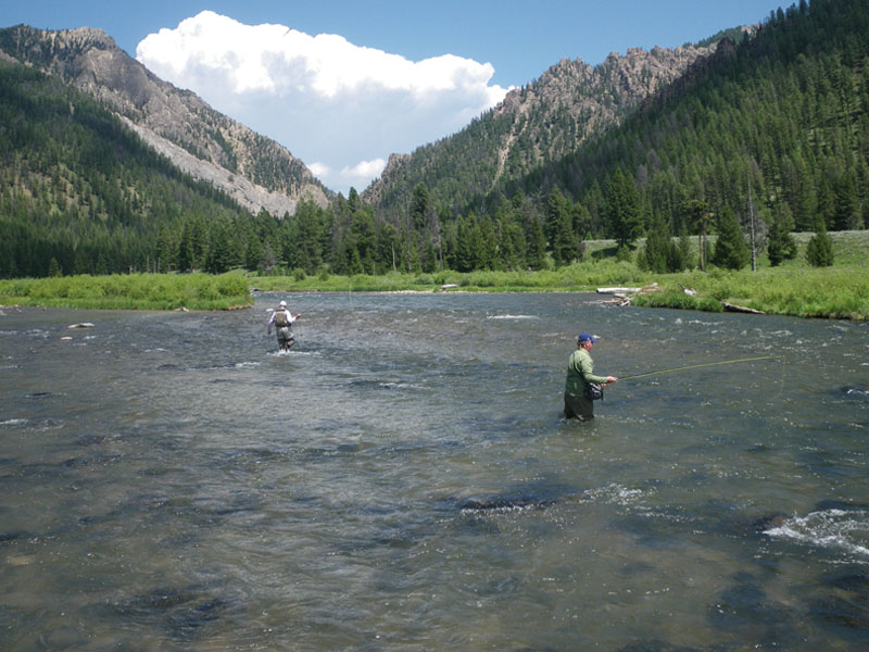 Fly fishing the Upper Madison River