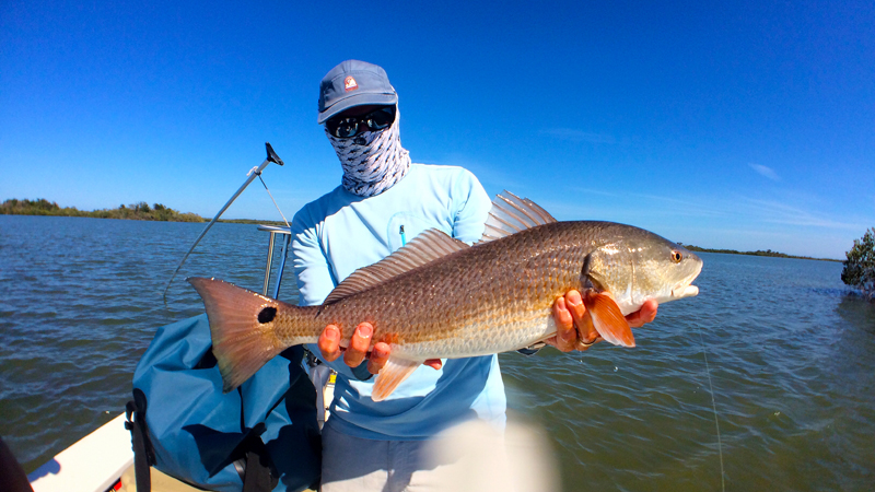 033017redfish008