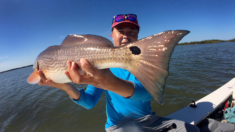 033017redfish013