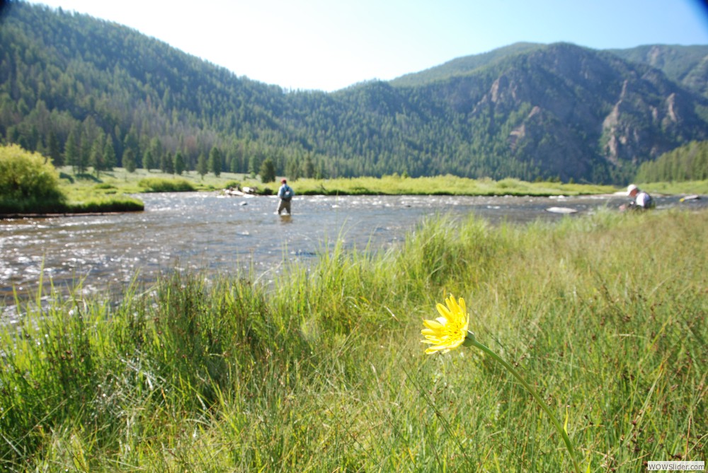 Upper Madison River